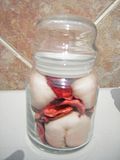 th_CandysPiccies2002.jpg