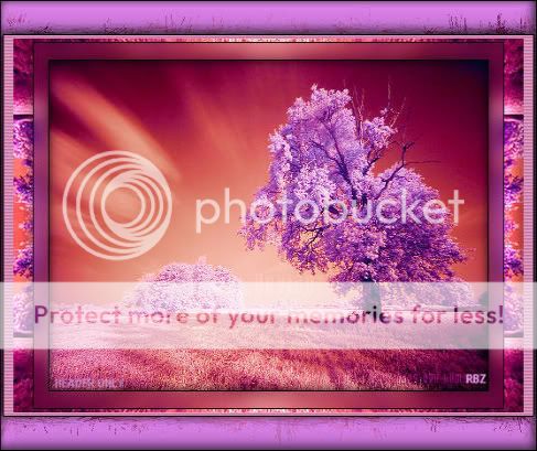 PURPLE_HEADER322-1.jpg picture by LilithPostImagens3