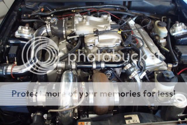 [Image: DSC00367-1.jpg]