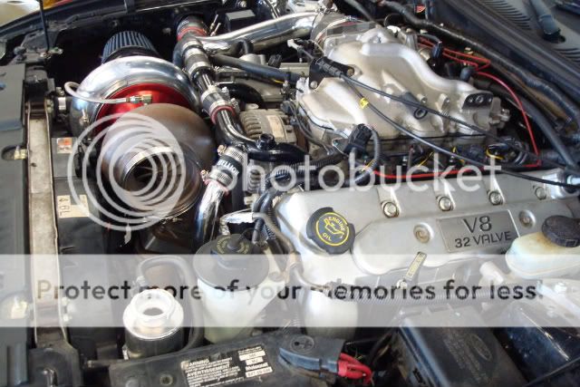 [Image: DSC00368-1.jpg]