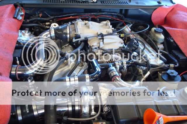 [Image: carandwheels001-1.jpg]