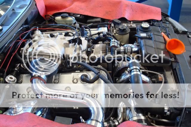 [Image: carandwheels002-1.jpg]