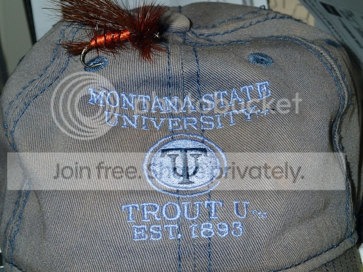 Trout U